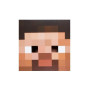 Голова из картона Minecraft Steve